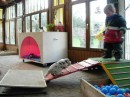 Training mit Nick * 480 x 360 * (29KB)